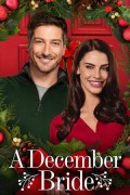 A December Bride A.December.Bride.2016.1080p.WEBRip.x265-RARBG