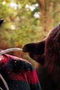 코카인 베어 (초고화질) Cocaine Bear.2023.1080p.KOR.FHDRip.H264.AAC-REEL.mkv