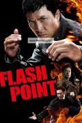 도화선 Flash Point (2007) (1080p BluRay x265 SAMPA)
