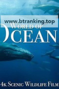바다 The.Ocean.4K.Scenic.Wildlife.Film.2024..UHD.2160p.60fps