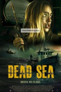 사해 Dead Sea ,2024.1080p.KORSUB.WEBRip.H264.AAC