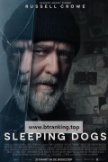슬리핑 독스 Sleeping Dogs.2024.1080p.KORSUB.WEBRip.H264.AAC