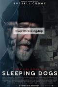 슬리핑 독스 Sleeping Dogs.2024.1080p.KORSUB.WEBRip.H264.AAC