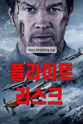 플라이트 리스크 Flight.Risk.2025.1080p.10bit.WEBRip.6CH.x265.HEVC-PSA