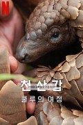 천산갑 쿨루의 여정 Pangolin Kulu's Journey, 2025.1080p.KORSUB.WEBRip.H264.AAC