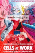 일하는 세포 Cells at Work! ,2025.1080p.KORSUB.WEBRip.H264.AAC