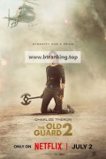 올드 가드 2 The.Old.Guard.2.2025.1080p.10bit.WEBRip.6CH.x265.HEVC-PSA
