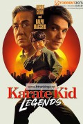 베스트 키드: 레전드 Karate.Kidegends.2025.2160p.HDR10Plus.DV.WEBRip.6CH.x265.HEVC-PSA
