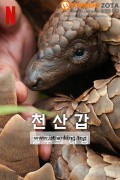 천산갑 쿨루의 여정 Pangolin Kulu's Journey, 2025.1080p.KORSUB.WEBRip.H264.AAC