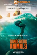 위험한 동물들 Dangerous.Animals ,2025.1080p.KORSUB.WEBRip.H264.AAC