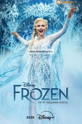 겨울왕국 브로드웨이 뮤지컬 Frozen.The.Hit.Broadway.Musical ,2025.1080p.WEBRip.H264.AAC