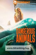 위험한 동물들 Dangerous.Animals ,2025.1080p.KORSUB.WEBRip.H264.AAC
