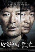 방황하는 칼날 Broken.2014.1080p.NF.WEB-DL.DDP5.1.x264-GNom