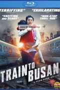 부산행 Train.to.Bushan.2016.BluRay.1080p.x265.10bit-MiniHD