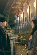 호랑이보다 무서운 겨울손님 A.Tiger.in.Winter.2017.KOREAN.1080p.WEBRip.x264-VXT
