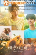 태양의 노래 Midnight Sun, 2025.1080p.WEBRip.H264.AAC