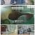시니어토크쇼 황금연못.E533.250816.1080p-F1RST