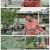 광복절 기획 팔도밥상.250816.1080p-F1RST