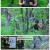 영상앨범 산.E1002.250824.1080p-F1RST