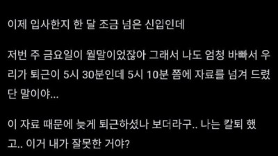 칼퇴했다고 혼난 신입사원..jpg