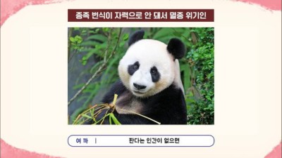 편견이 너무 없는 스트리머