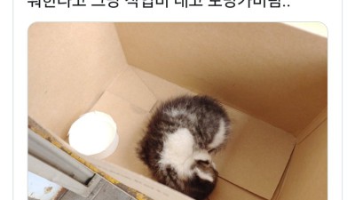 손님차 엔진룸에서 구한 아깽이를 강제로 맡게된 정비사