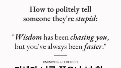 멍청하단 말 기분 안 상하게 하기