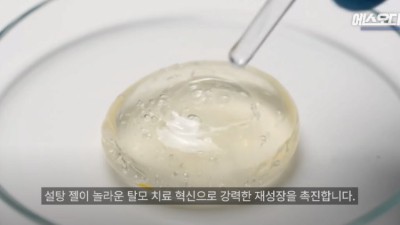 탈모인 희소식...설탕(?) 바르면 머리 자라남