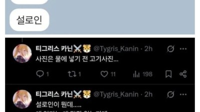 효녀가 되고싶었던 버튜버.jpg