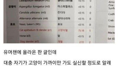 알레르기 검사 했는데 뭔가 이상하다