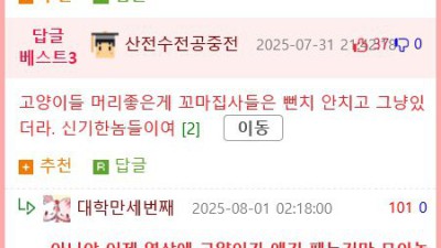 꼬마 집사들을 인내하는 고양이들.mp4