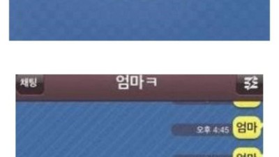 사실상 합법적 악플러