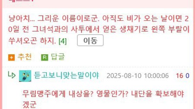 인천 모래내시장 맹수 ㄷㄷ