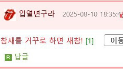너무 어려서 먹잇감의 개념이 없는 고앵이