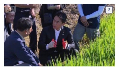 을사년에 일본인 관리가 조선 땅에 와서 농사를 체크하고 감