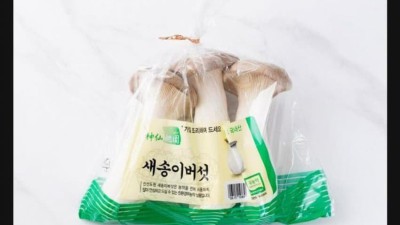 버섯 전문가가 알려준 식용버섯 구분법