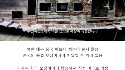 북한 어부들의 시신이 매년 일본 해역에서 발견되는 이유