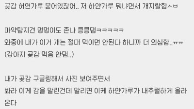 ??: 한국인이 과일에 수상한 가루 묻혀서 반입함