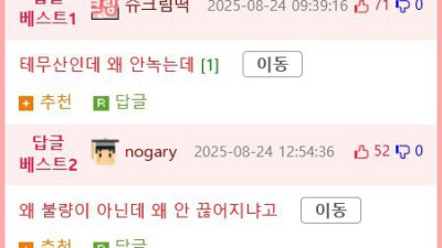 ㅇㅎ) 테무산 비키니