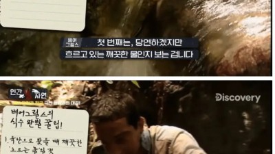조난 당했을때 깨끗한 물을 구별하는 꿀팁