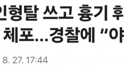 인형탈 쓰고 흉기 휘두른 20대女 체포