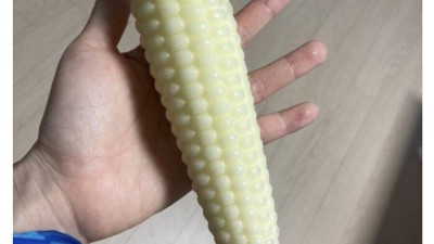 다른 용도로 사용하지 말라는