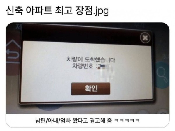 17575827924246.jpg