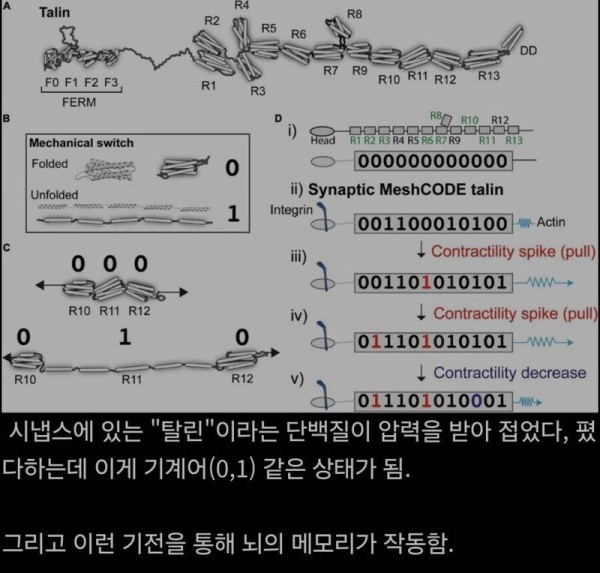 17576908844507.jpg
