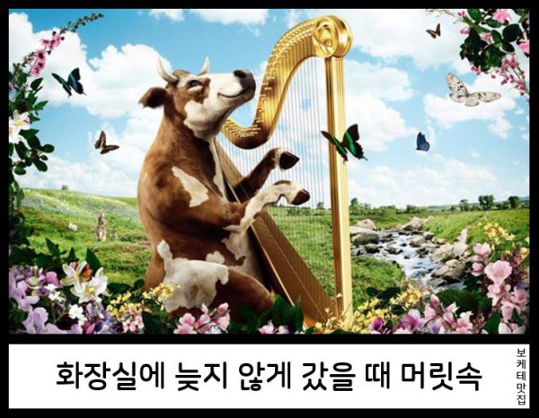 17578420026628.png