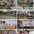 백패커2.E15.240908.1080p.H264-F1RST