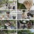 보스 라이즈(BOSS RIIZE).E05.241004.1080p.H264-F1RST