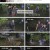 생존왕.E01.241007.1080p.H264-F1RST