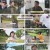 TV 동물농장.E1193.241020.1080p.H264-F1RST