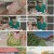 삼시세끼 Light.E06.241025.1080p.H264-F1RST